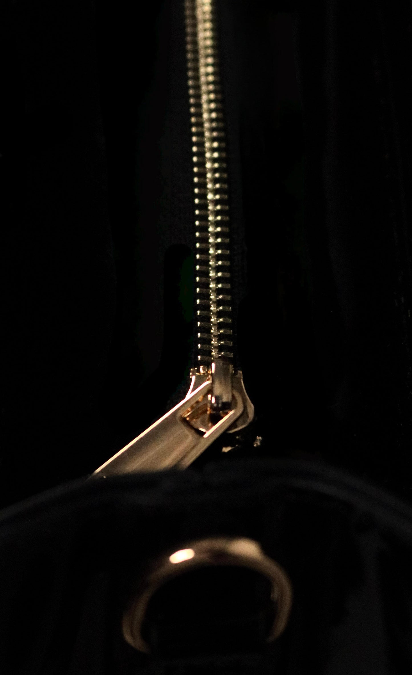 The Halo Bag